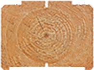 Профилированный брус 145x195